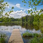 Auweiher bei Bernried