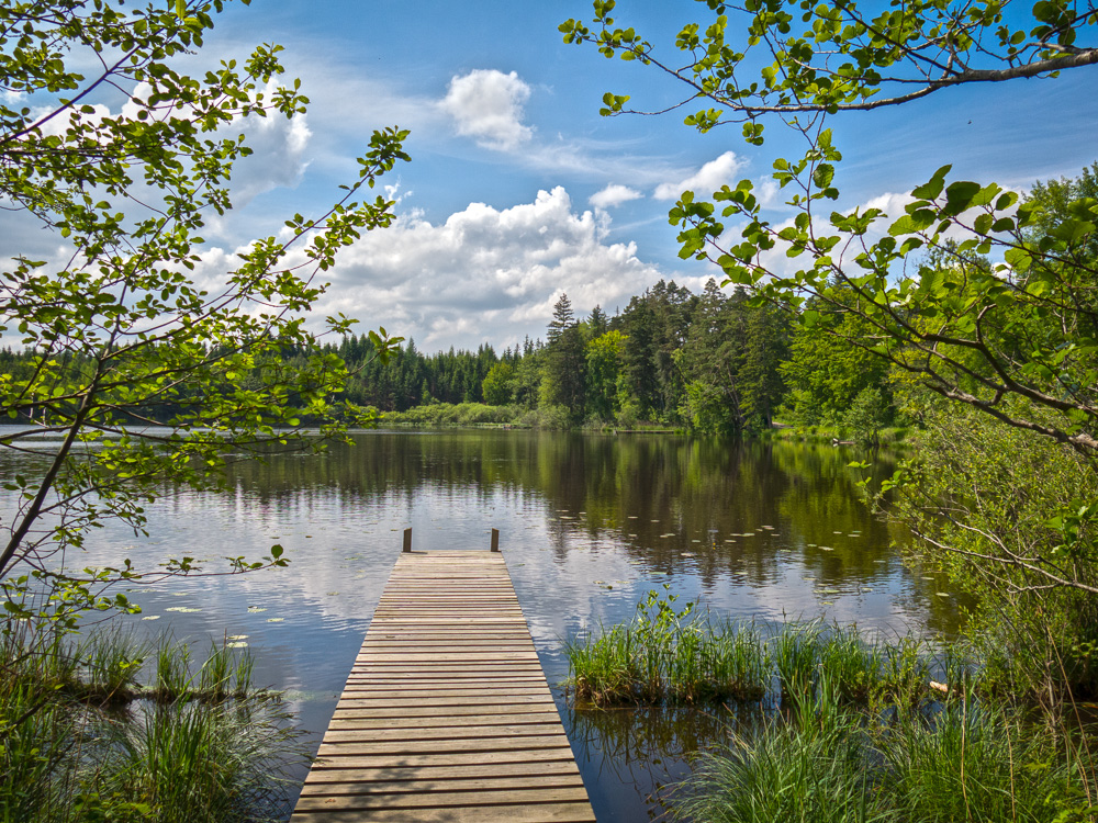 Auweiher bei Bernried