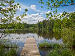 Auweiher bei Bernried