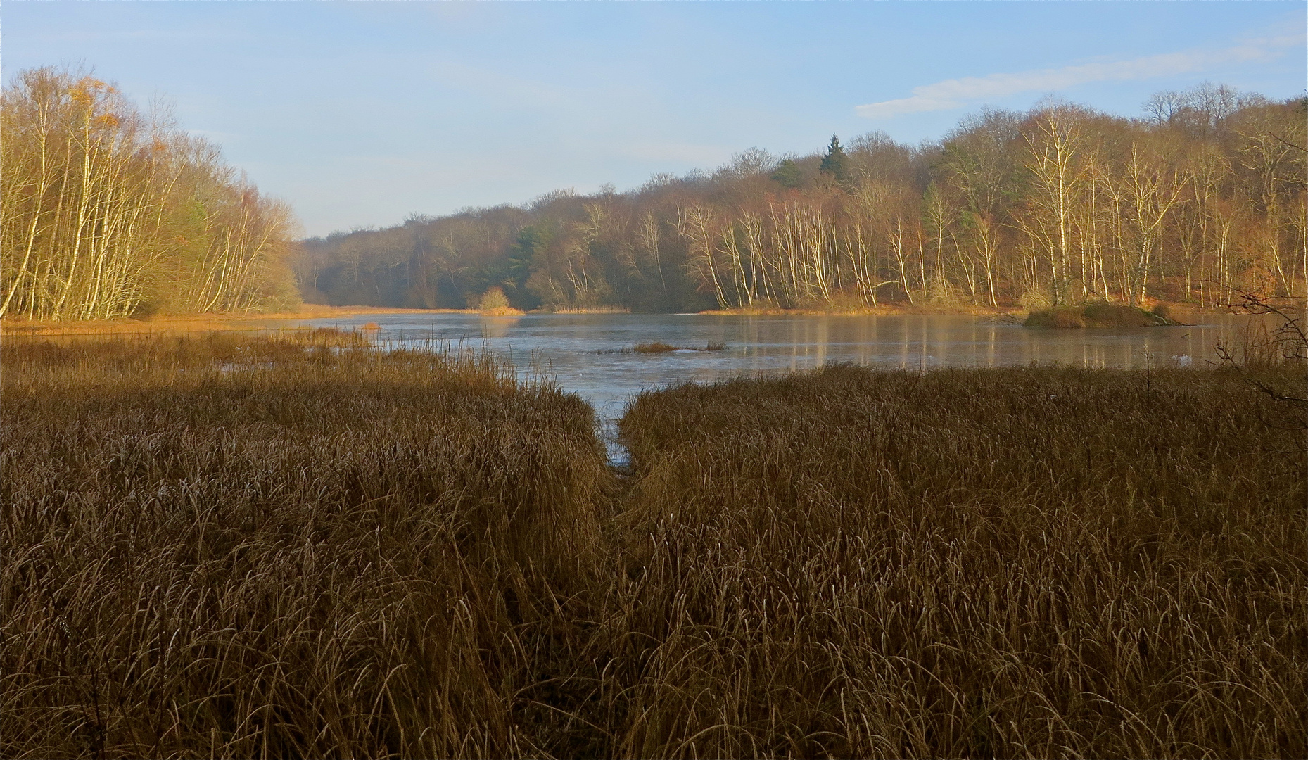 ...aux bord de lac !!!...