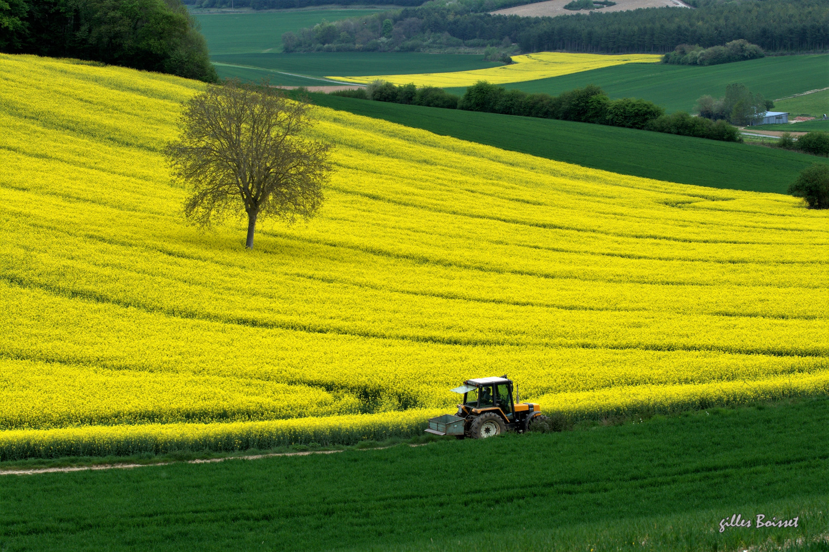 aux champs photo et image europe france normandie Images fotocommunity aux champs photo et image europe france normandie Images fotocommunity