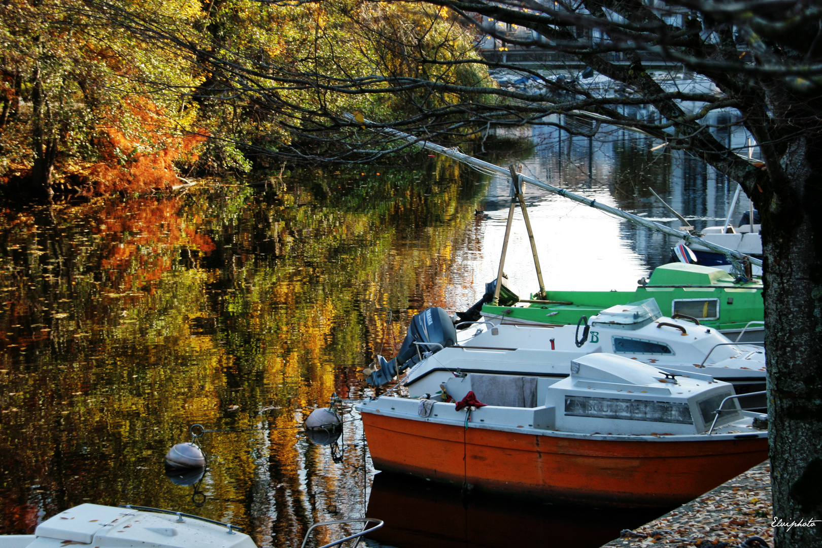 Aux couleurs d'automne 