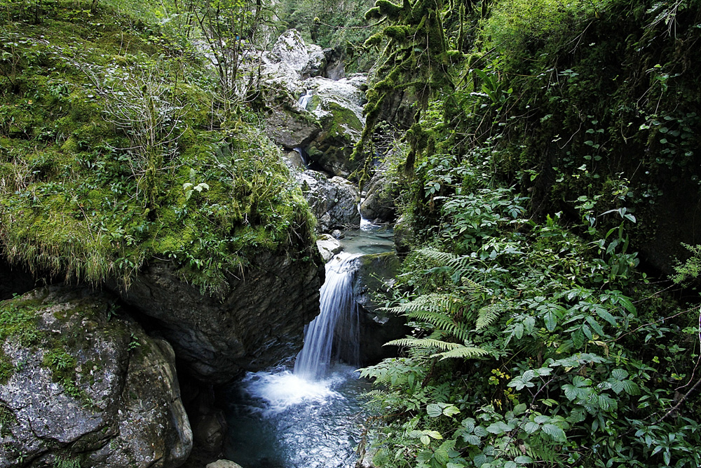 Aux gorges de KAKUETA (64 ) 2