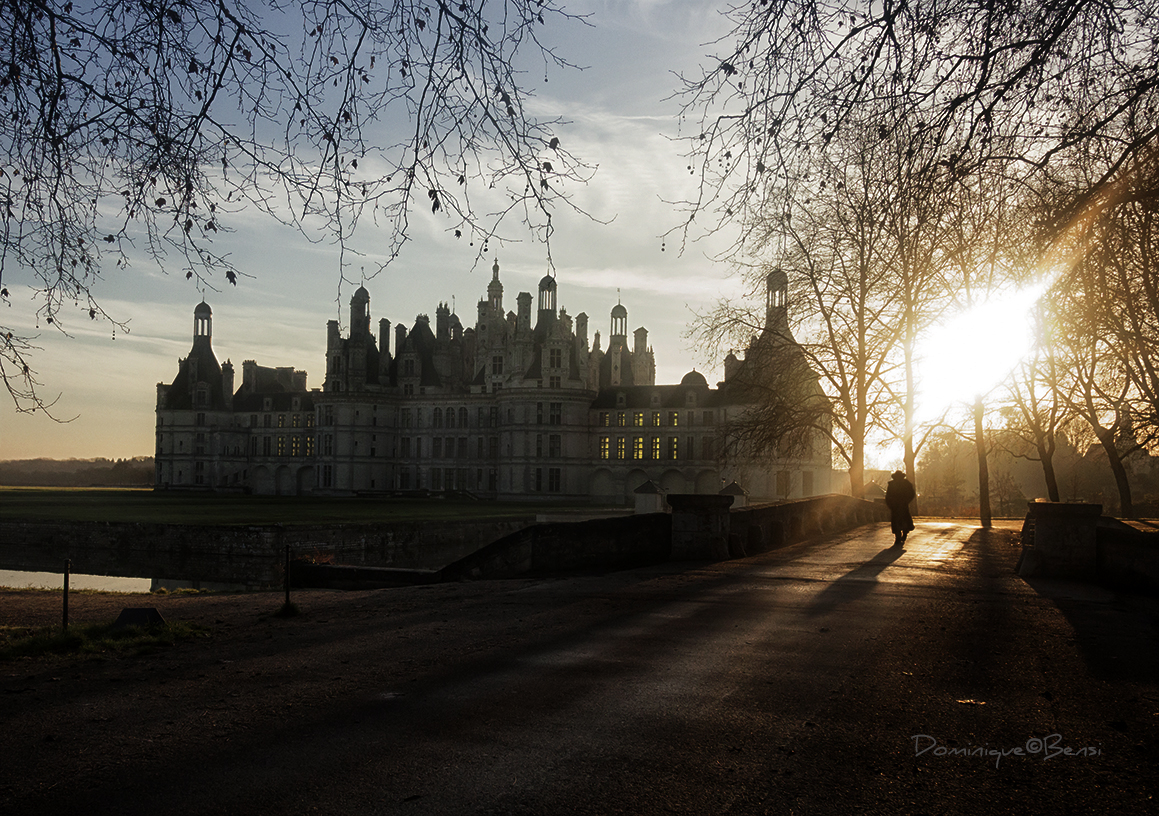 Aux Petits Matins de Chambord ...