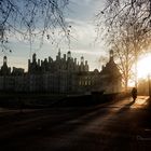 Aux Petits Matins de Chambord ...