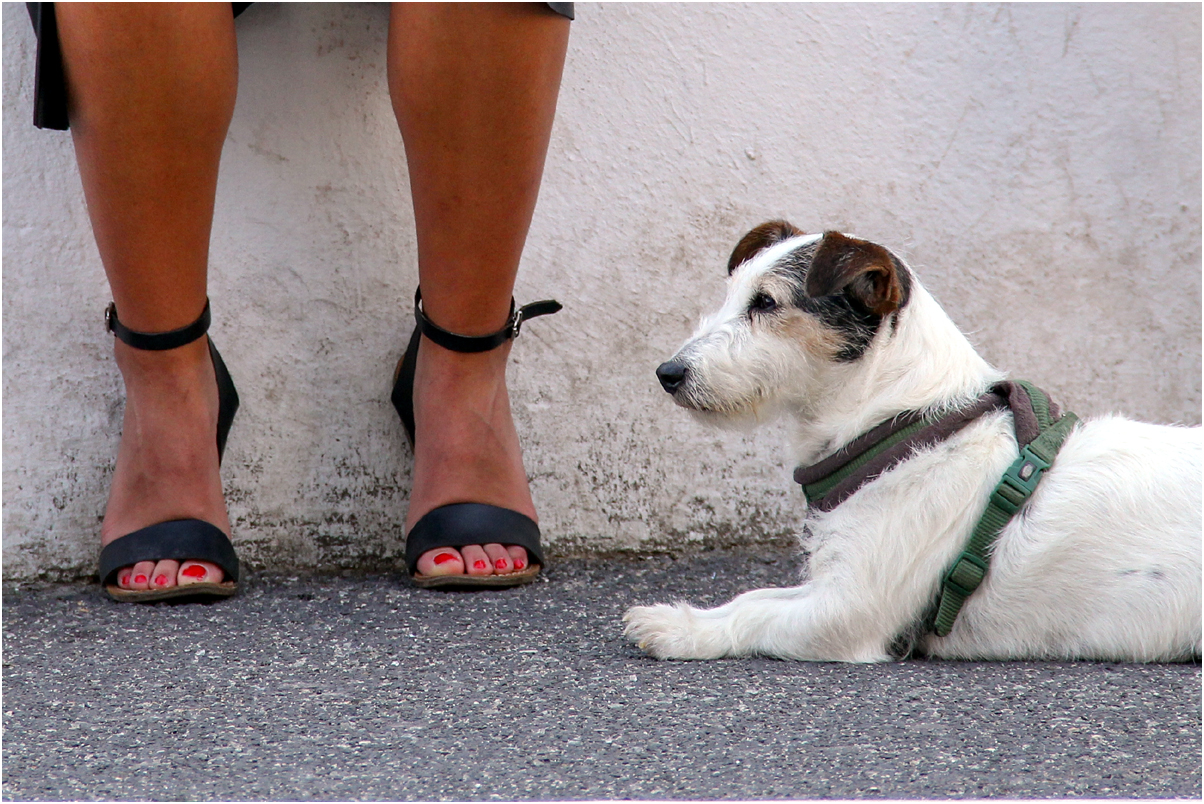  aux pieds 