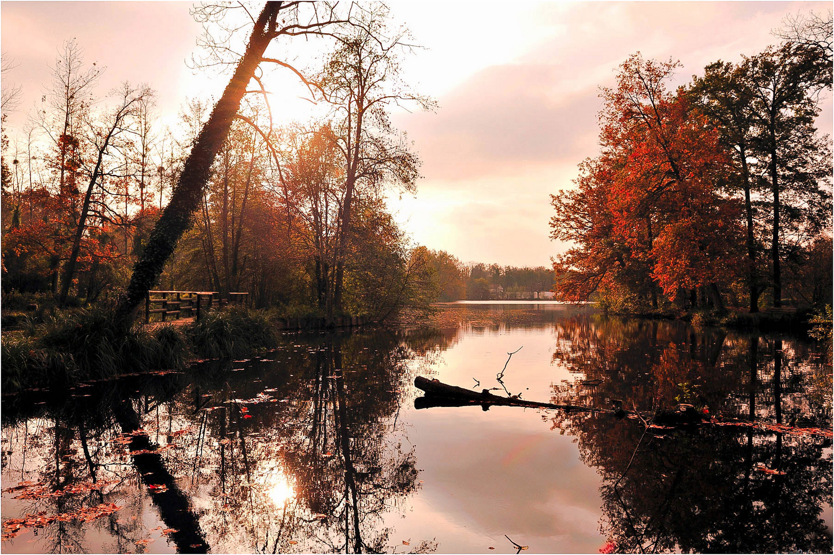 Aux portes de l'Automne