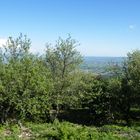 Aux Portes de Provence, le Mont de Savasse