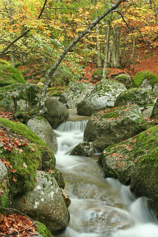 Aux Sources du Tarn - Parc National des Cévennes de Sinopis 