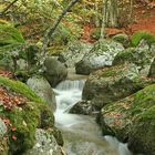 Aux Sources du Tarn - Parc National des Cévennes