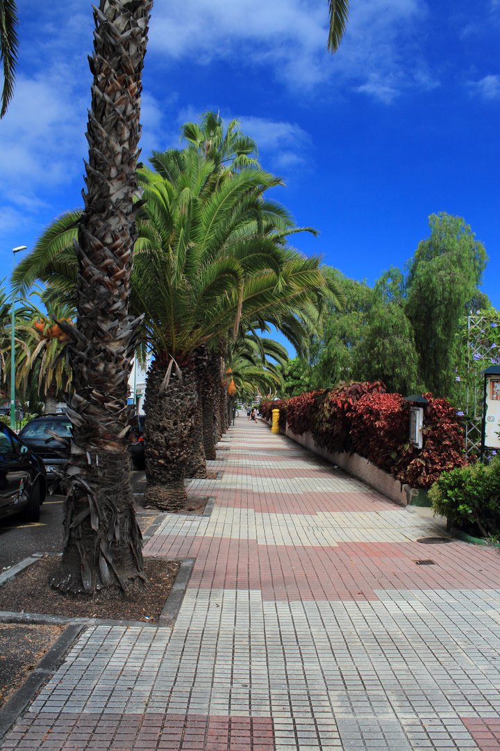 Av. Marques de Villanueva del Prado