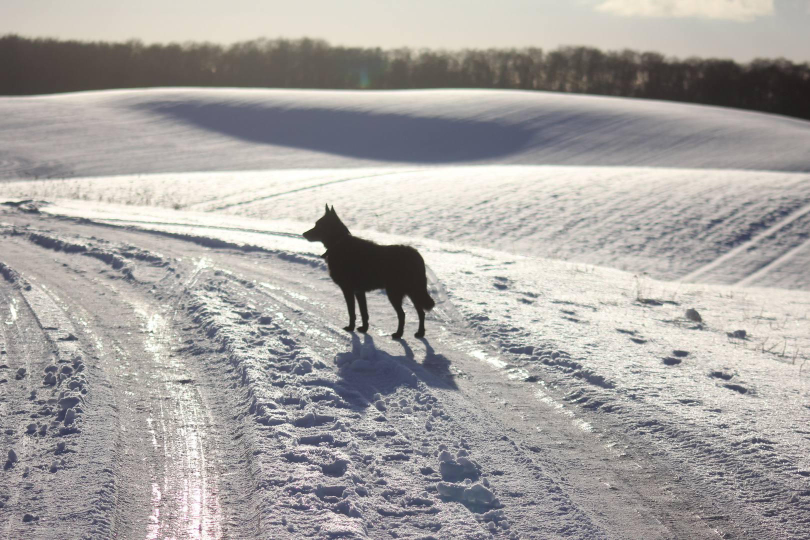 Ava im Paradies