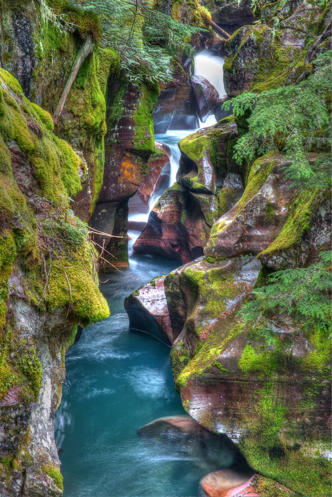 Avalanche Creek