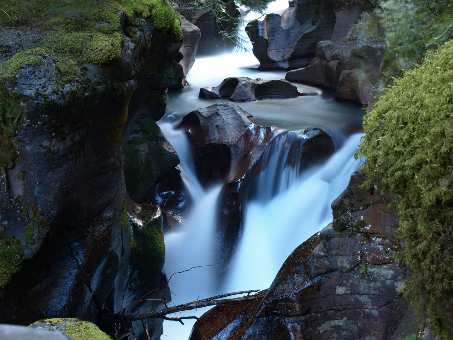 Avalanche Creek