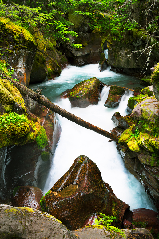 Avalanche Creek