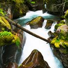 Avalanche Creek