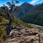 Avalanche Peak Track - Arthurs Pass