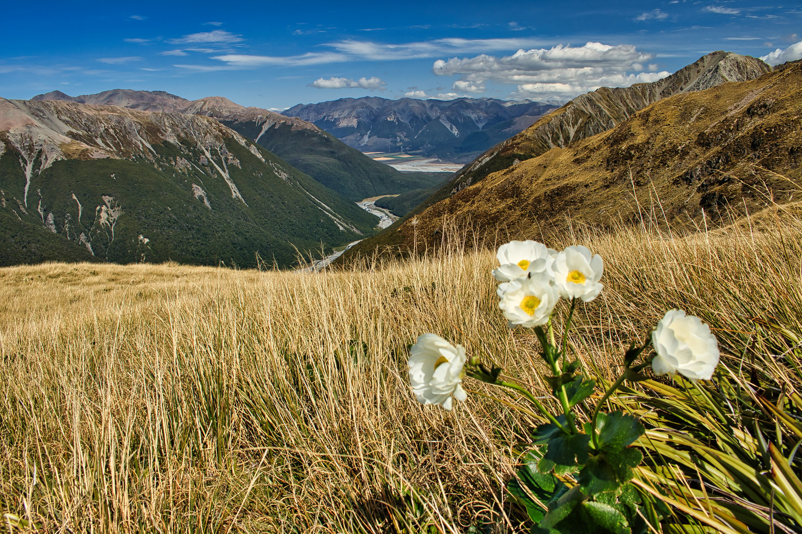 Avalanche Peak Track