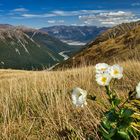 Avalanche Peak Track