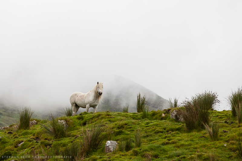 AVALON Foto & Bild tiere, reise, natur Bilder auf