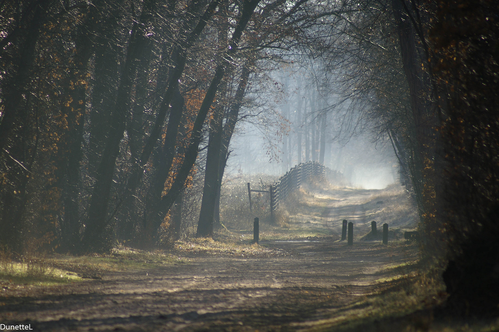 Avancer vers le brouillard