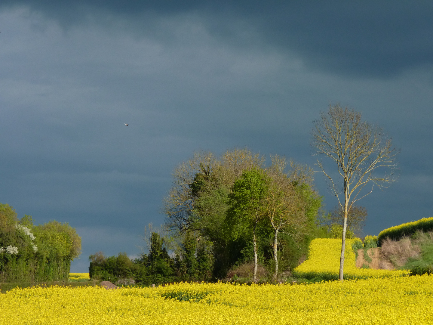 Avant la pluie