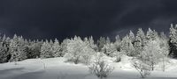 Avant la tempete de neige de etruchard 