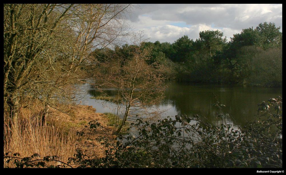 " Avant l'arrivée de la pluie sur les marais de Mousterlin "