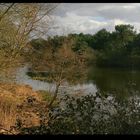 " Avant l'arrivée de la pluie sur les marais de Mousterlin "