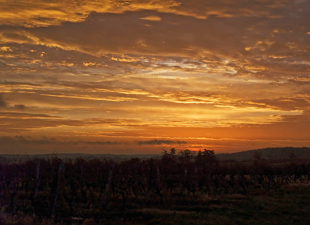 Avant le lever du soleil -- Vor dem Sonnenaufgang