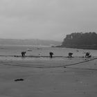 Avant le Pêche - Port du Rosmeur (29)