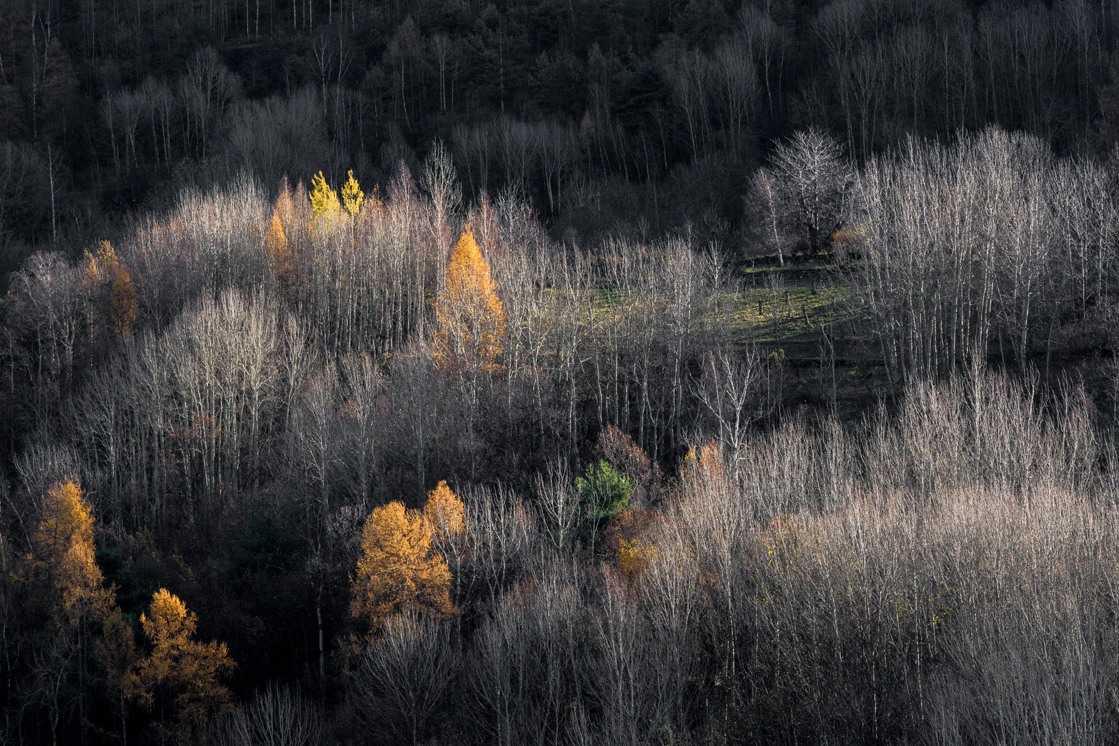 Avant l'hiver