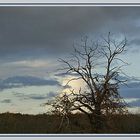 Avant l'orage....