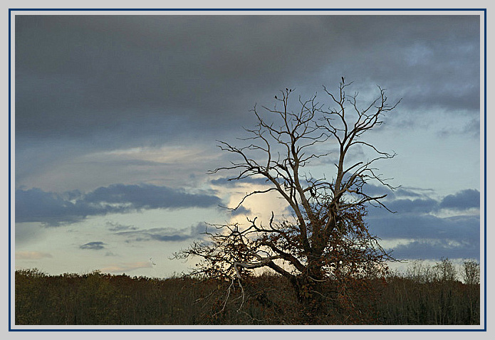 Avant l'orage....