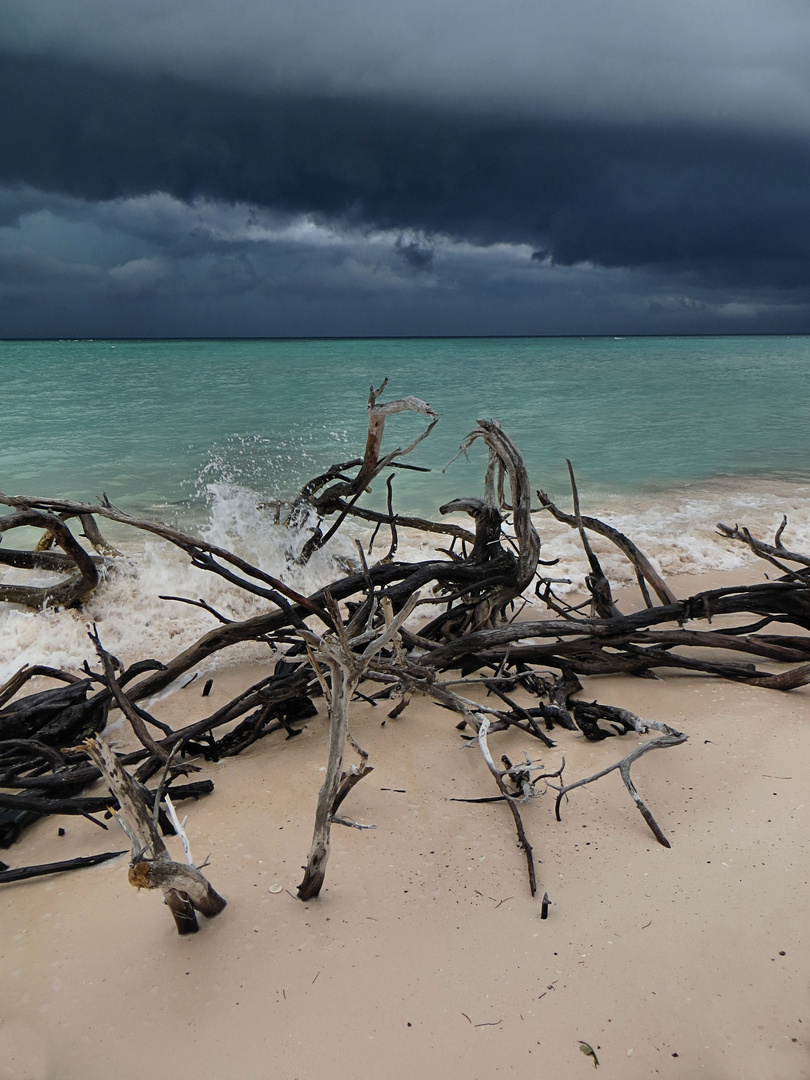 Avant l'orage !