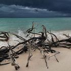 Avant l'orage !