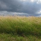 Avant l'orage.