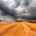 Avant l'orage