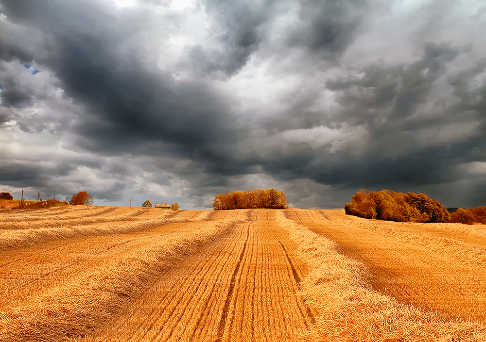 Avant l'orage