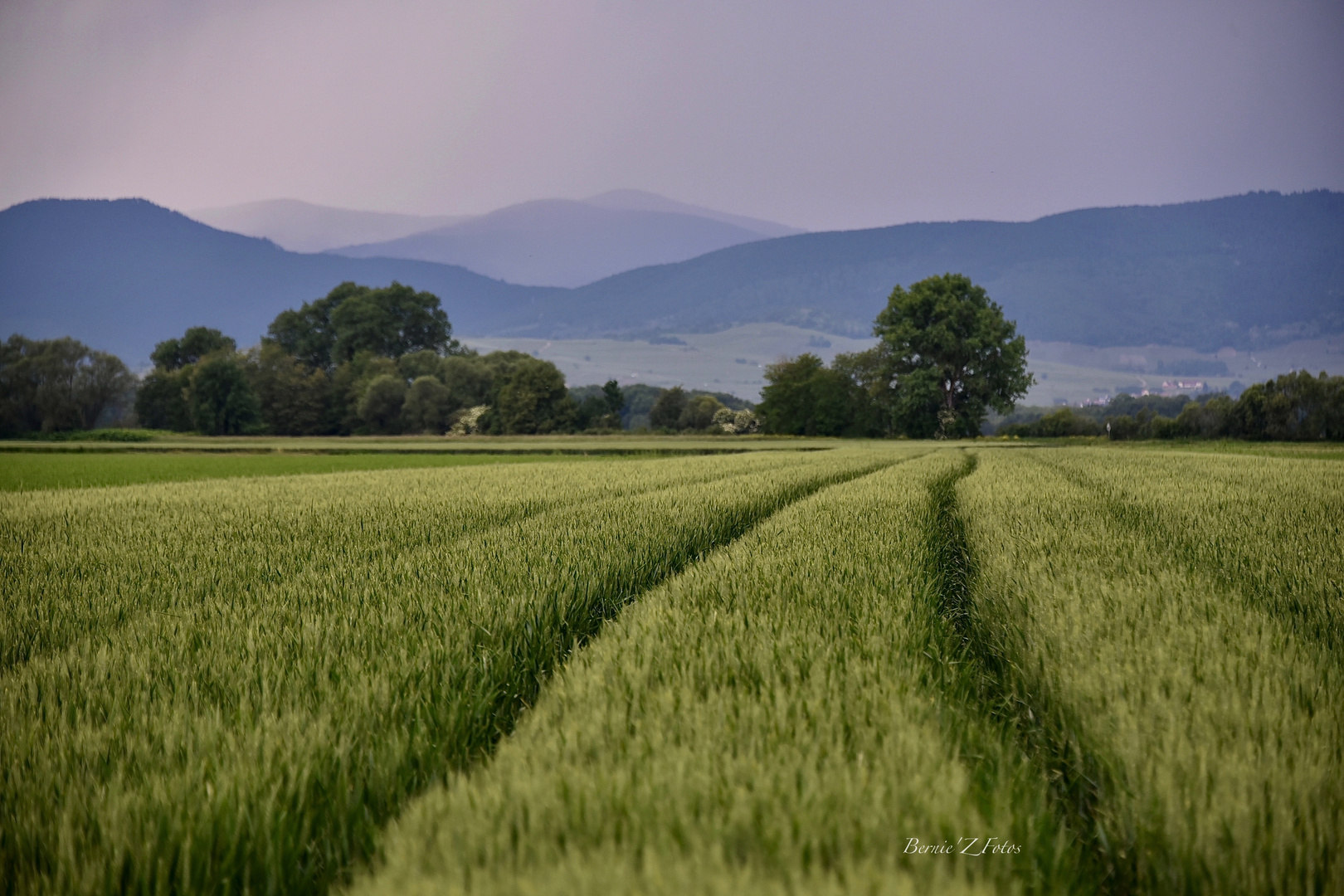 Avant l'orage