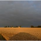 AVANT L'ORAGE