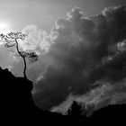 Avant l'orage - Vor dem Sturm