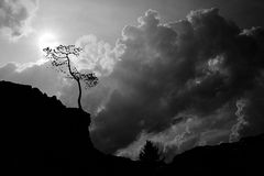 Avant l'orage - Vor dem Sturm