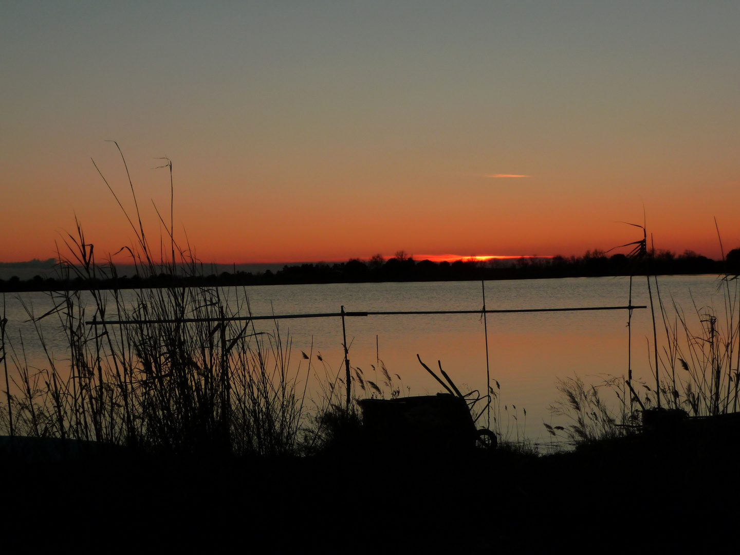 Avant que la Camargue s'endorme...