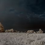 Avebury Stonecircle