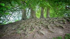 avebury021_