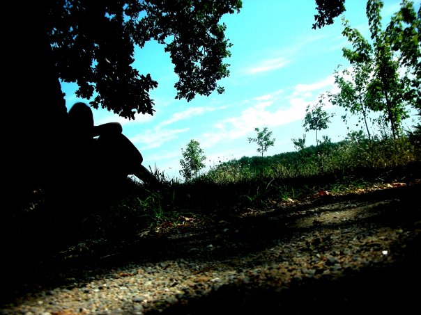 Avec ma guitare contre l'arbre