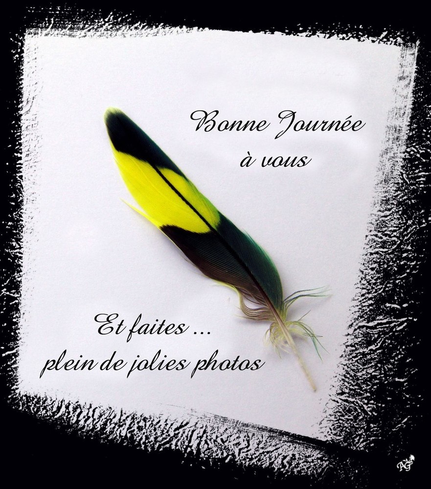 Avec ma jolie plume je vous souhaite une .............