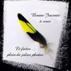 Avec ma jolie plume je vous souhaite une .............