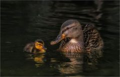 Avec maman